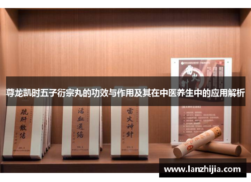 尊龙凯时五子衍宗丸的功效与作用及其在中医养生中的应用解析