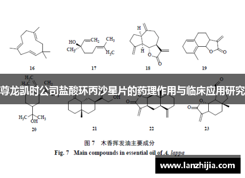 尊龙凯时公司盐酸环丙沙星片的药理作用与临床应用研究