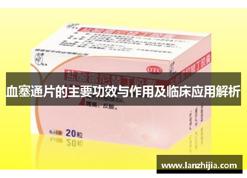 血塞通片的主要功效与作用及临床应用解析